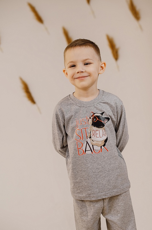 Джемпер (принт). Кулирка (100% хлопок), Арт. ДПКг