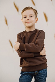 Джемпер. Футер с начёсом (80% хлопок, 20% полиэстер)