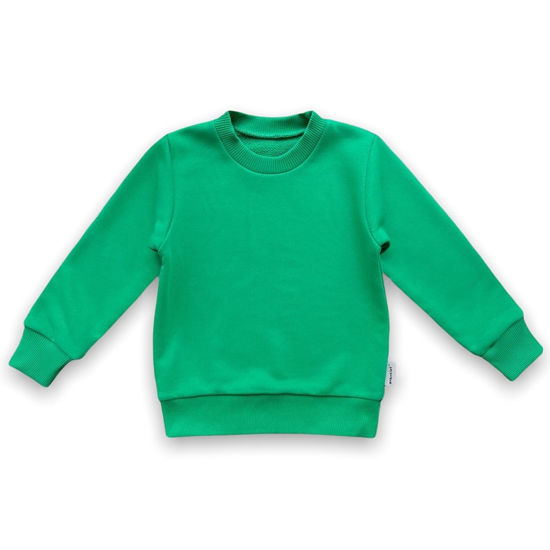 Джемпер. Футер без начёса (80% хлопок, 20% полиэстер), Арт. ДФ3бн