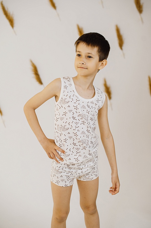 Трусы для мальчиков. Кулирка (100% хлопок), Арт. ТМСКп